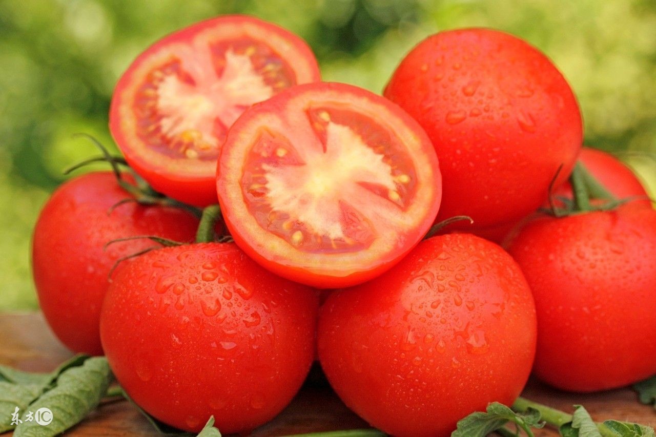 减肥喝什么茶减肥最快,减肥怎么减肥最快