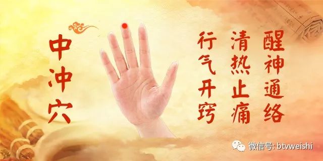 养生堂关于补气血视频,养生堂2023.11.7全集免费