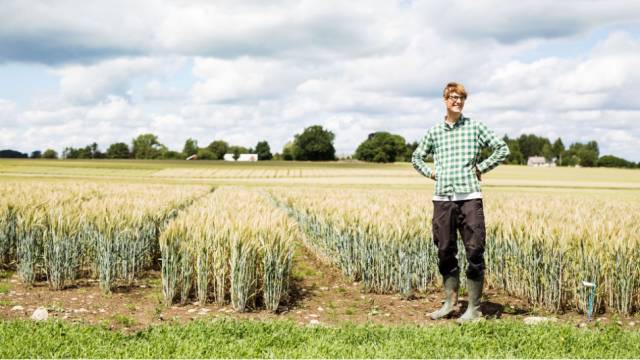 超好吃谷物0蔗糖酸奶,酸甜香脆谷物酸奶