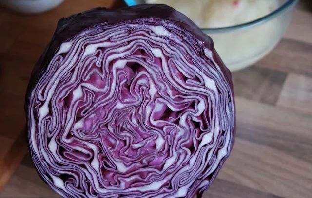 食物的相生相克有道理吗,食物相生相克的书对营养师有用吗