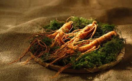 新鲜人参怎么保存冷冻还是冷藏,人参放在冷藏还是冷冻