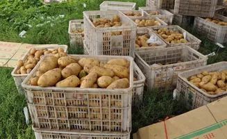 中卫天气预警最新消息实时,中卫市天气冷怎么解决