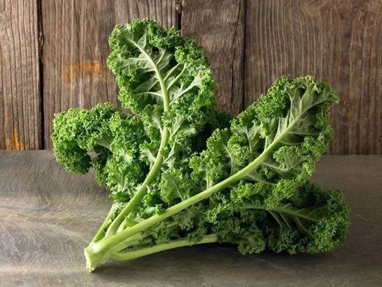 食物的相生相克有道理吗,食物相生相克的书对营养师有用吗