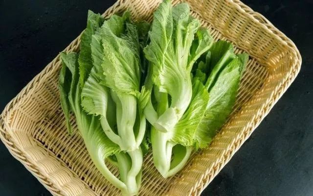 食物的相生相克有道理吗,食物相生相克的书对营养师有用吗