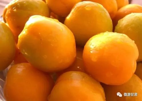 敦煌特产李广杏价格,敦煌杏子有哪些