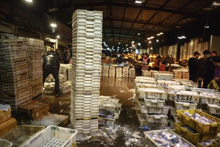 上海吃海鲜必去的地方推荐,距离上海2小时内车程的景点