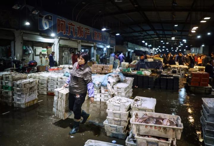 上海吃海鲜必去的地方推荐,距离上海2小时内车程的景点