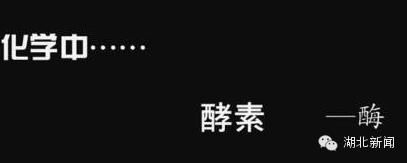 喝酵素减肥越来越胖亲身经历 (为什么建议你喝酵素减肥)