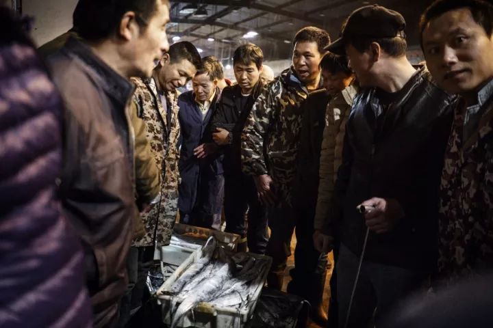 上海吃海鲜必去的地方推荐,距离上海2小时内车程的景点