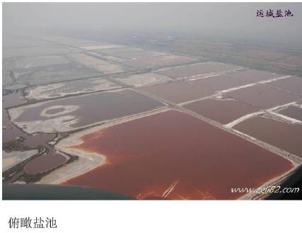 山西黄河根祖文化,山西各省的祖先