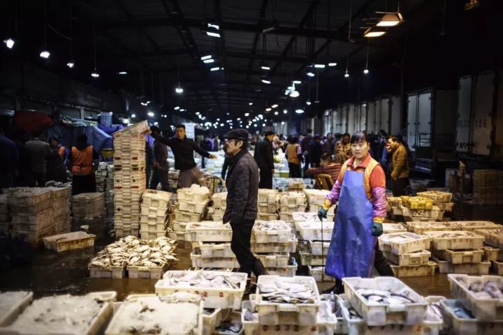 上海吃海鲜必去的地方推荐,距离上海2小时内车程的景点