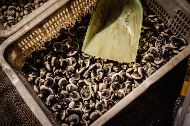 上海吃海鲜必去的地方推荐,距离上海2小时内车程的景点