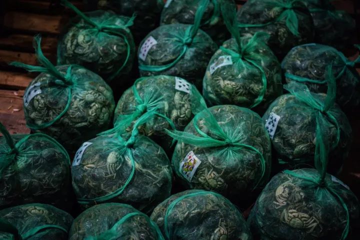 上海吃海鲜必去的地方推荐,距离上海2小时内车程的景点