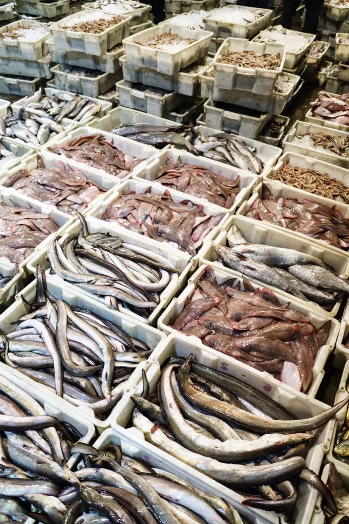 上海吃海鲜必去的地方推荐,距离上海2小时内车程的景点