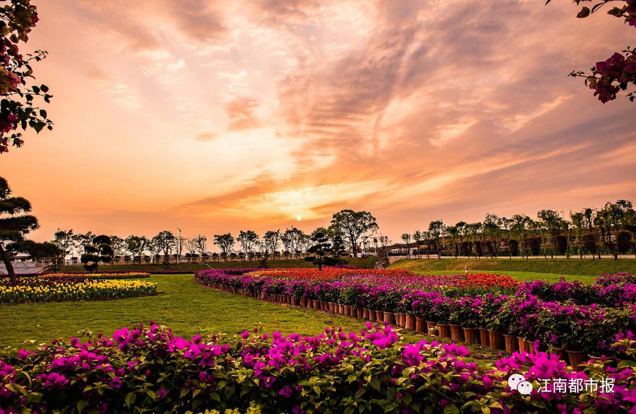 强镇扩权什么意思,强镇扩权