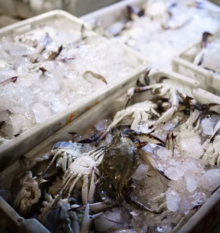 上海吃海鲜必去的地方推荐,距离上海2小时内车程的景点