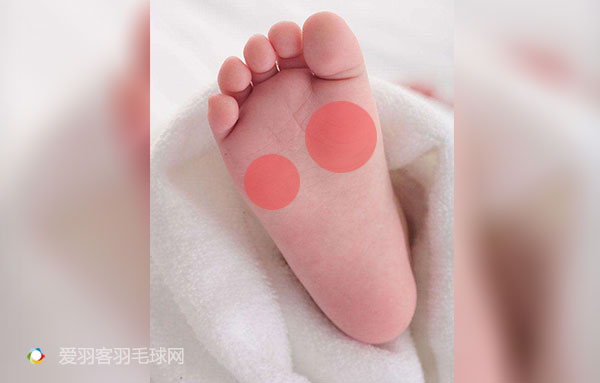 安赛龙和陶菲克,陶菲克vs安赛龙盖德完整版