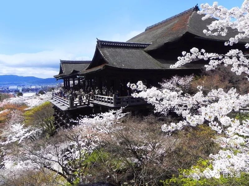 <html>
<head><title>502BadGateway</title></head>
<body>
<center><h1>502BadGateway</h1></center>
<hr><center>nginx</center>
</body>
</html>
<!--apaddingtodisableMSIEandChromefriendlyerrorpage-->
<!--apaddingtodisableMSIEandChromefriendlyerrorpage-->
<!--apaddingtodisableMSIEandChromefriendlyerrorpage-->
<!--apaddingtodisableMSIEandChromefriendlyerrorpage-->
<!--apaddingtodisableMSIEandChromefriendlyerrorpage-->
<!--apaddingtodisableMSIEandChromefriendlyerrorpage-->
