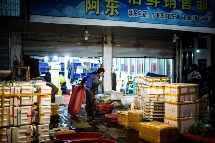 上海吃海鲜必去的地方推荐,距离上海2小时内车程的景点