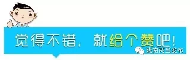 陇南433发展战略,陇南两当狼牙蜜宣传片