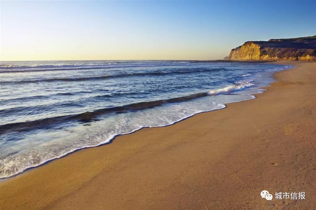 「曲言杂谈」：读书让我们学会流泪