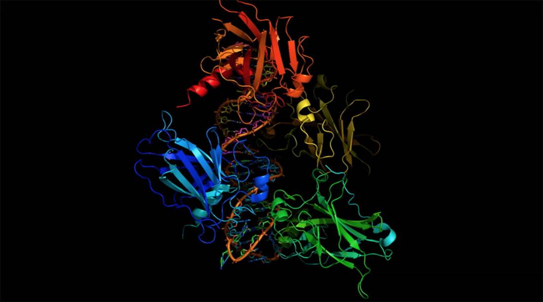双生子实验说明了什么问题,双生子实验有哪些