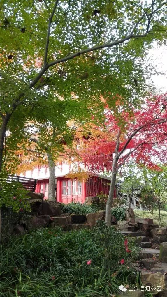 打卡上海这几个风景绝佳的赏秋地,探索最美旅游地点