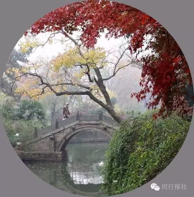 打卡上海这几个风景绝佳的赏秋地,探索最美旅游地点