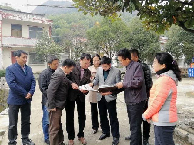 区长高雁调研重点工作推进情况,区长带队调研城市建设工作