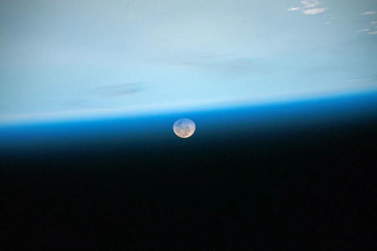 双生子实验说明了什么问题,双生子实验有哪些