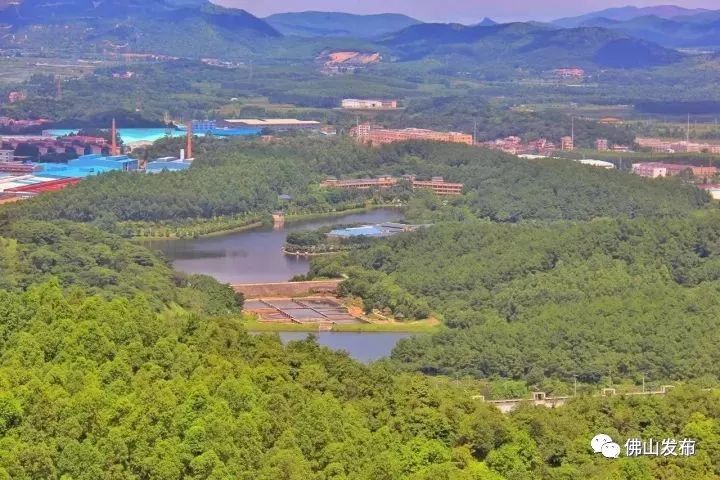 佛山十大森林公园,佛山森林公园在哪里