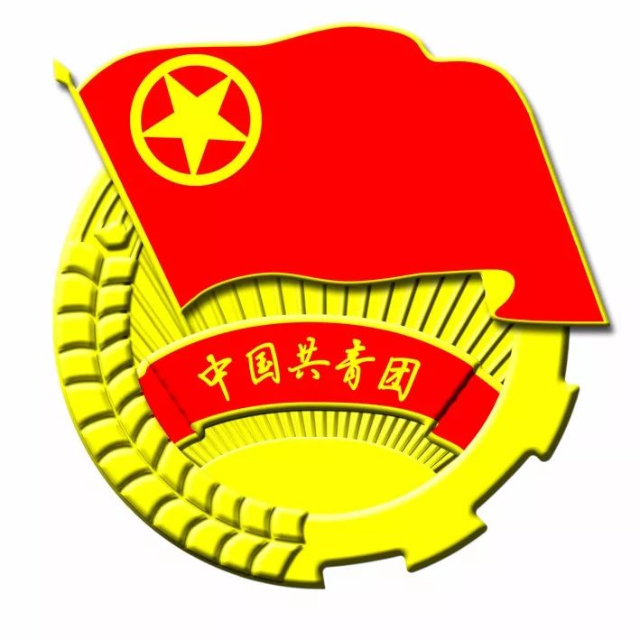 团代会青年代表发言,青年热议团代会