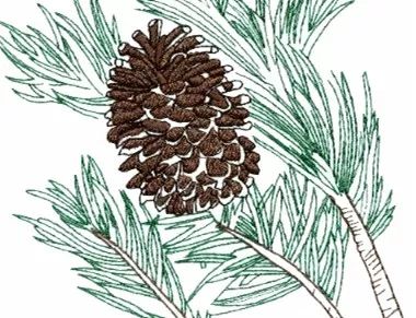 腿脚发麻是什么病的前兆,亚健康会影响腿脚发冷发麻