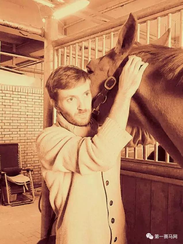 正骨治疗如何帮助马匹健康？