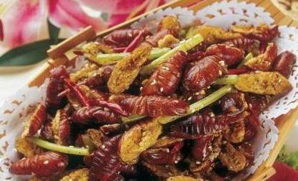 农村这种野货一斤能卖4000元,300元一斤农村常见的东西每家都有