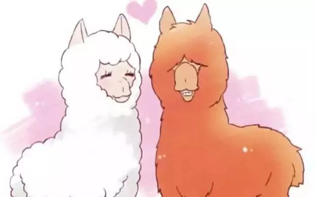 泰国必买好物,泰国便宜好物排行榜