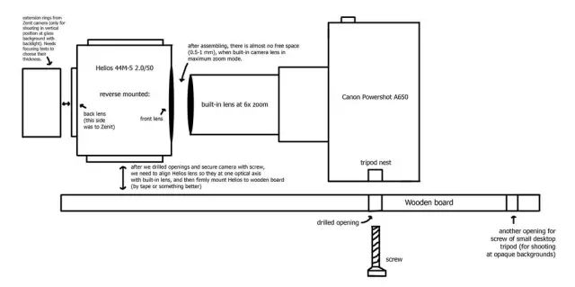 摄影最美人物照片,摄影人的第一张照片