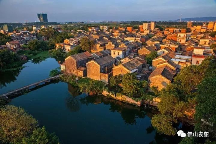 佛山十大森林公园,佛山森林公园在哪里