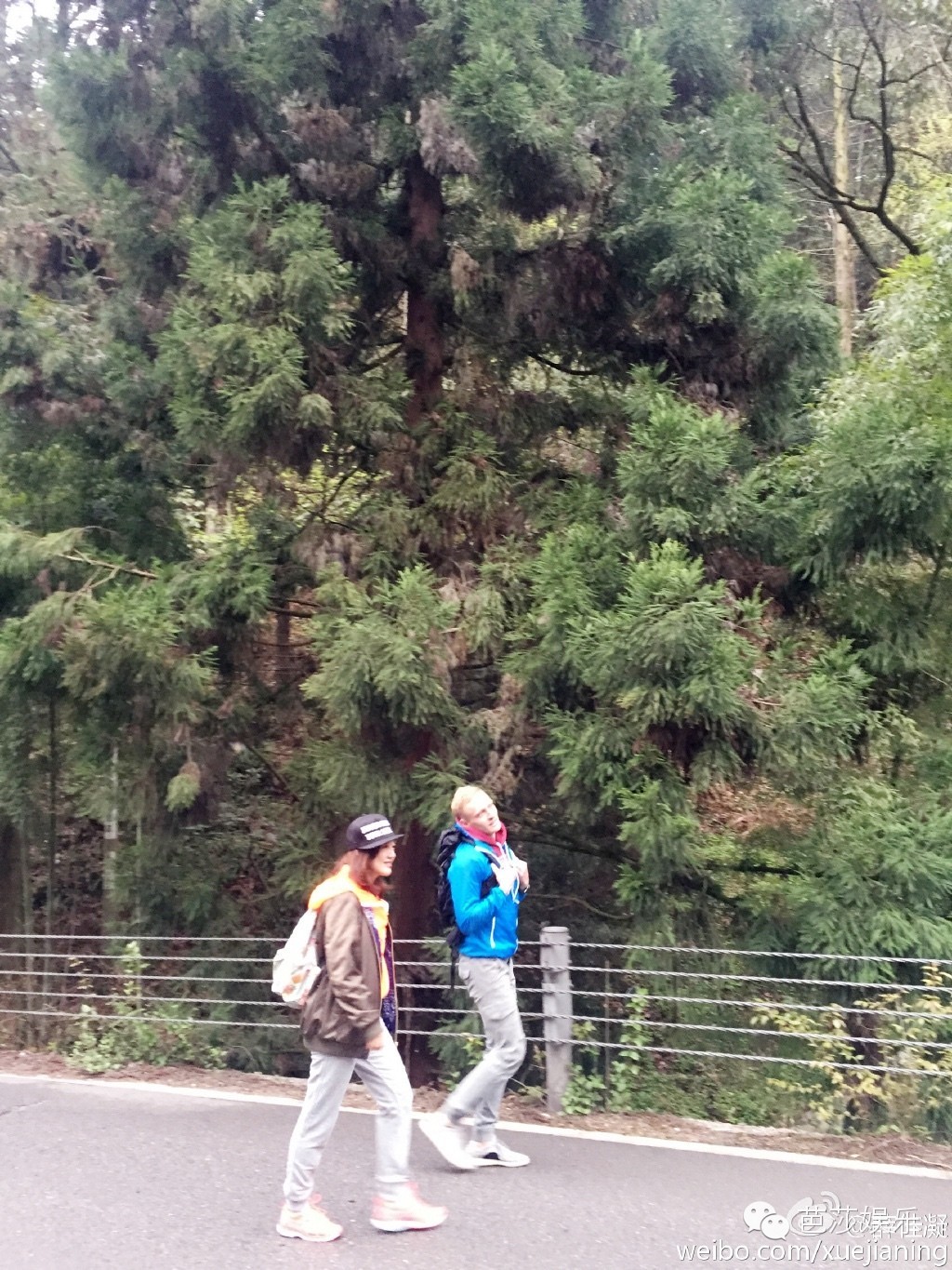 胡歌江疏影分手后首次同框,胡歌江疏影分手以后同台过吗