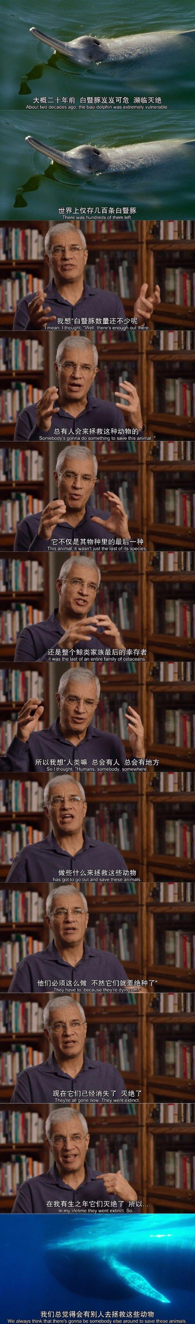 推荐｜《竞相灭绝》：与物种灭绝竞速的死亡赛跑