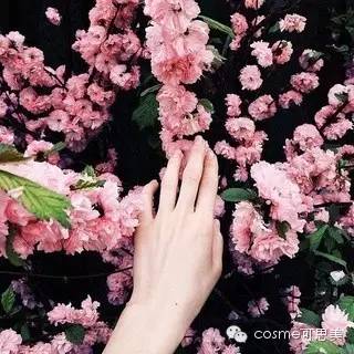 学生党高颜值美白护手霜,美白改善粗糙护手霜