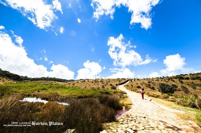 往返二张机票,往返机票去云南和西双版纳