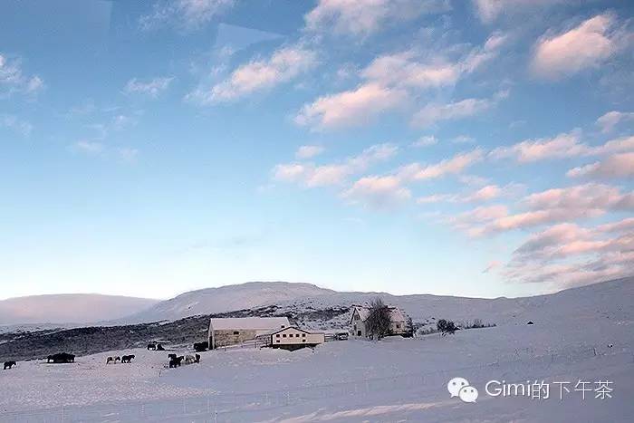 冰岛|在去黄金圈的路上，我的广发信用卡却被盗刷了