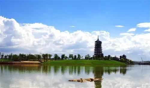 有点屌！南宁各城区竟靠它称霸武林