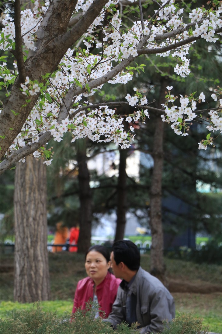 佳能eos80d拍照怎么样,七年前的佳能eos80d相机值得入手