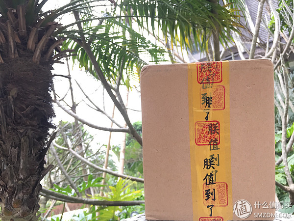 照片还是那个苍姐姐,但陪撸的鼠标却更”色”了I-ROCKSIM6幻彩翼评测,附苍姐签名照