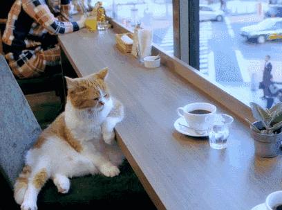 上海咖啡店十大排行榜,上海咖啡榜单