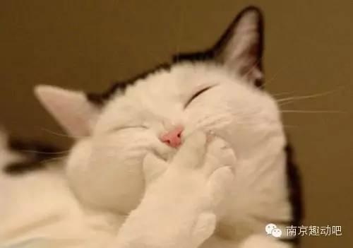 风雨无阻，苏宁小球童自信上岗！然而上岗前居然发生了这样的事