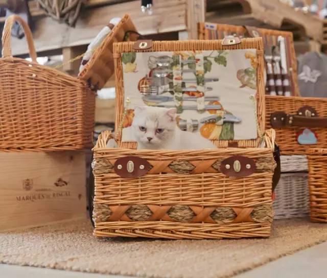 不仅有黑社会火并！香港工厦里还有这些隐秘好去处