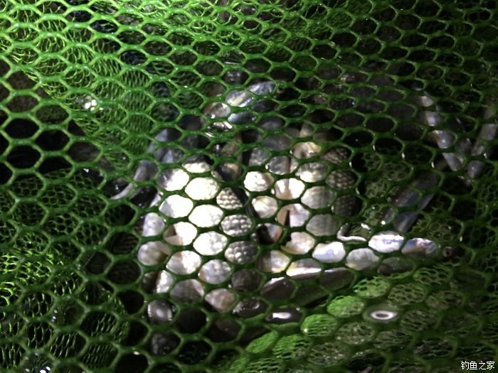 东征西讨和南征北讨,东征西讨南伐大漠